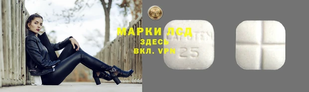 гидра Алексеевка